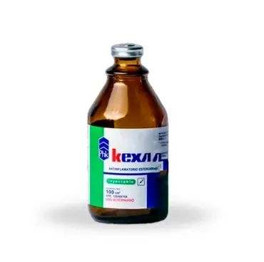 DEXAMETASONA KEXA 100ML UND