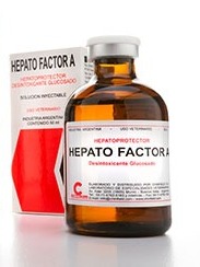 HEPATO FACTOR A 100mL UND