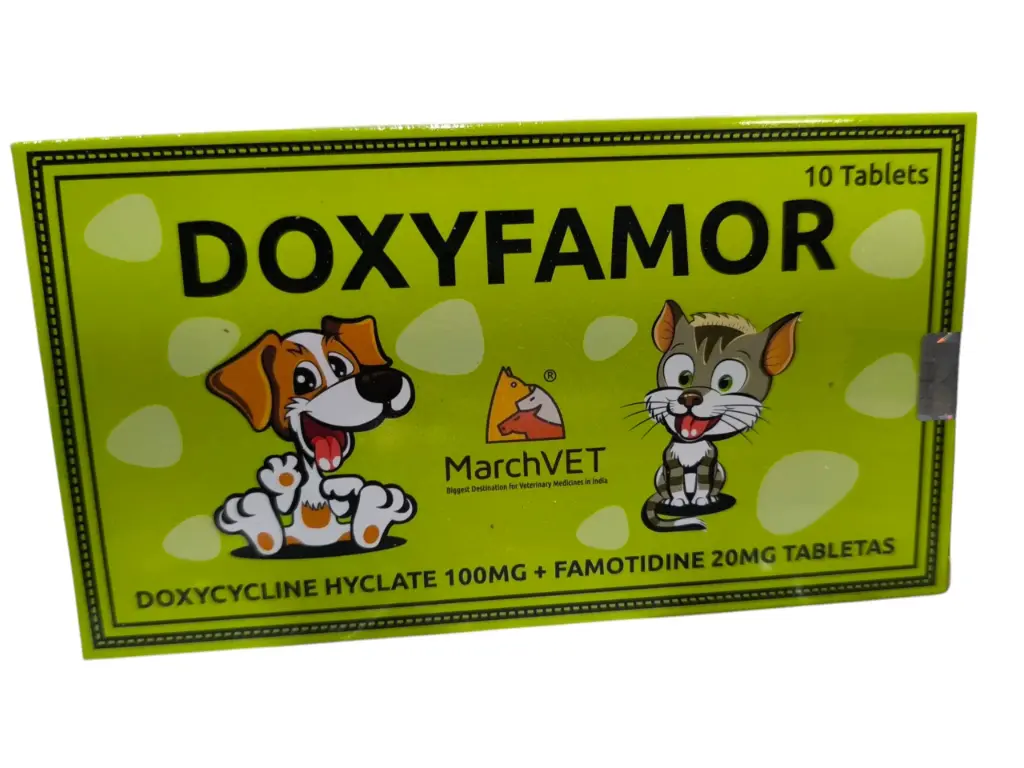 DOXYFAMOR X10TABLLETAS (DOXICICLINA+FAMOTIDINA)