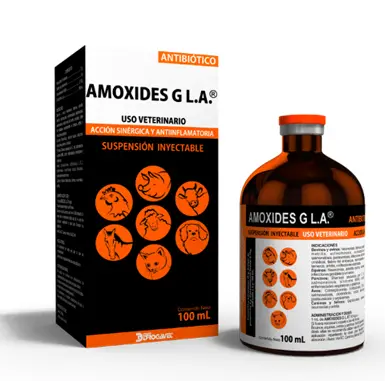 AMOXIDES G L.A 100ML (AMOXICILINA)